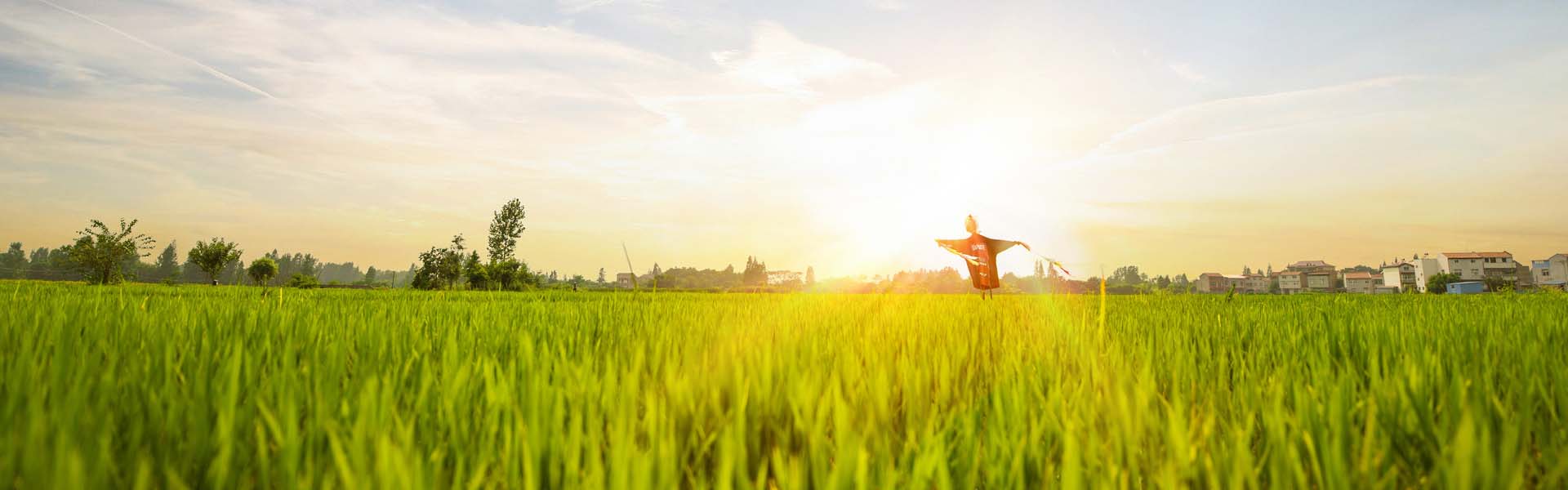 响应式图片示例